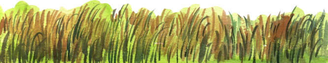 Watercolor Field Grass 
