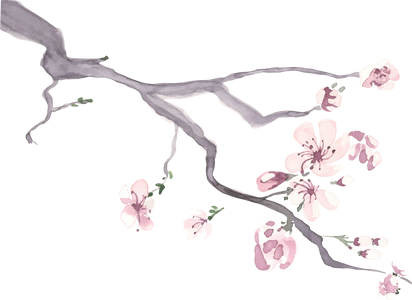 Watercolor Sakura Blossom Branch.